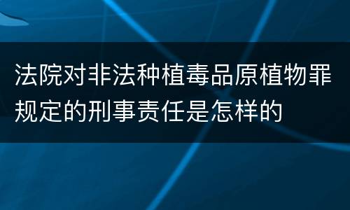 法院对非法种植毒品原植物罪规定的刑事责任是怎样的