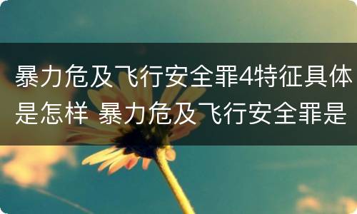 暴力危及飞行安全罪4特征具体是怎样 暴力危及飞行安全罪是危险犯吗