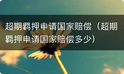 超期羁押申请国家赔偿（超期羁押申请国家赔偿多少）