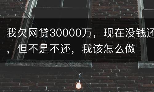 我欠网贷30000万，现在没钱还，但不是不还，我该怎么做