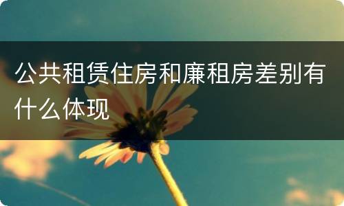 公共租赁住房和廉租房差别有什么体现