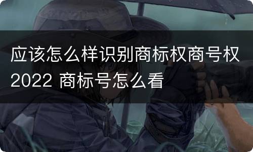 应该怎么样识别商标权商号权2022 商标号怎么看