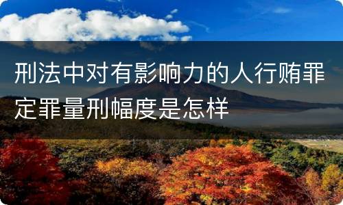 刑法中对有影响力的人行贿罪定罪量刑幅度是怎样