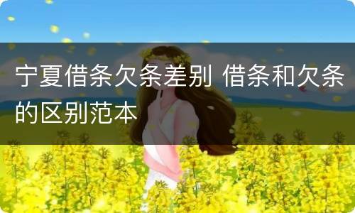 宁夏借条欠条差别 借条和欠条的区别范本