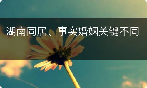 湖南同居、事实婚姻关键不同