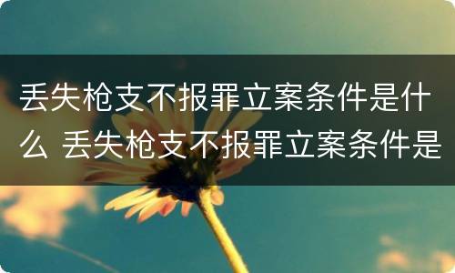 丢失枪支不报罪立案条件是什么 丢失枪支不报罪立案条件是什么呢