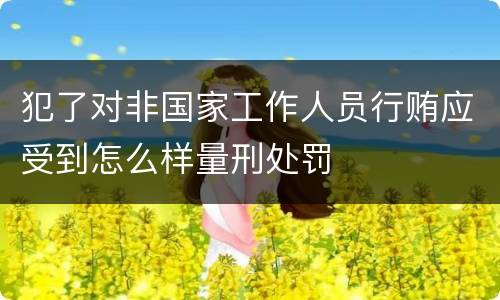 犯了对非国家工作人员行贿应受到怎么样量刑处罚