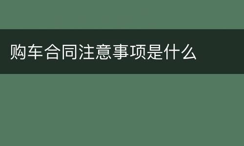 购车合同注意事项是什么