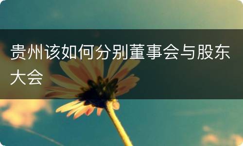 贵州该如何分别董事会与股东大会
