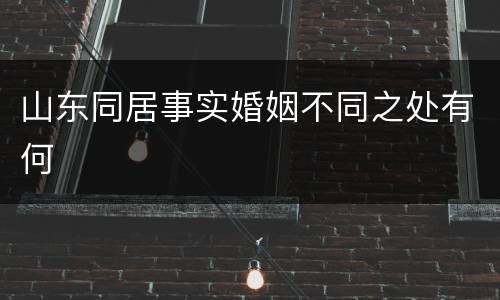 山东同居事实婚姻不同之处有何