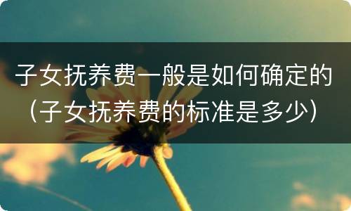 子女抚养费一般是如何确定的（子女抚养费的标准是多少）