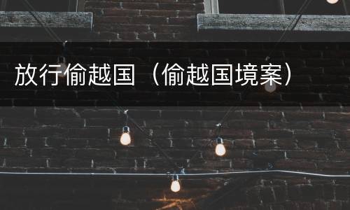 放行偷越国（偷越国境案）