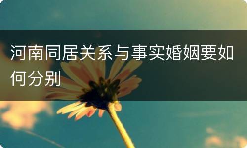 河南同居关系与事实婚姻要如何分别