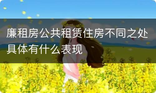 廉租房公共租赁住房不同之处具体有什么表现