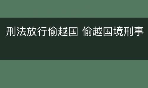 刑法放行偷越国 偷越国境刑事