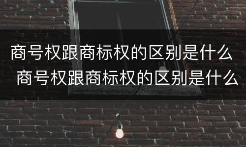商号权跟商标权的区别是什么 商号权跟商标权的区别是什么呢