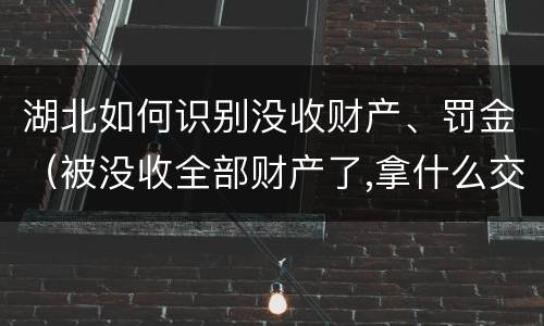 湖北如何识别没收财产、罚金（被没收全部财产了,拿什么交罚金）