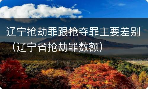 辽宁抢劫罪跟抢夺罪主要差别（辽宁省抢劫罪数额）