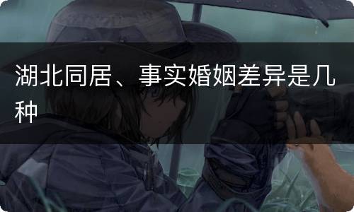 湖北同居、事实婚姻差异是几种