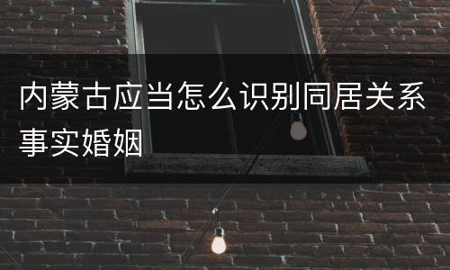 内蒙古应当怎么识别同居关系事实婚姻