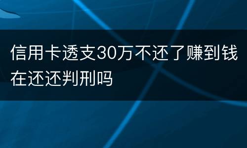 信用卡透支30万不还了赚到钱在还还判刑吗