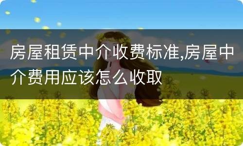 房屋租赁中介收费标准,房屋中介费用应该怎么收取