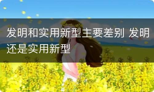 发明和实用新型主要差别 发明还是实用新型