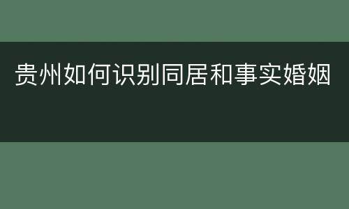 贵州如何识别同居和事实婚姻