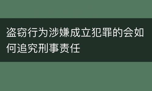 盗窃行为涉嫌成立犯罪的会如何追究刑事责任