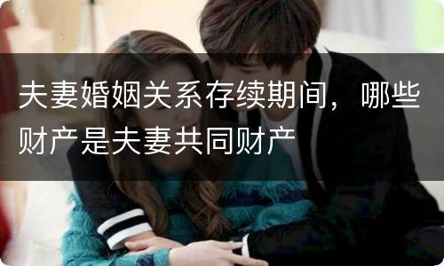夫妻婚姻关系存续期间，哪些财产是夫妻共同财产