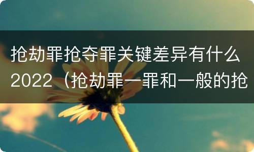 抢劫罪抢夺罪关键差异有什么2022（抢劫罪一罪和一般的抢劫罪）