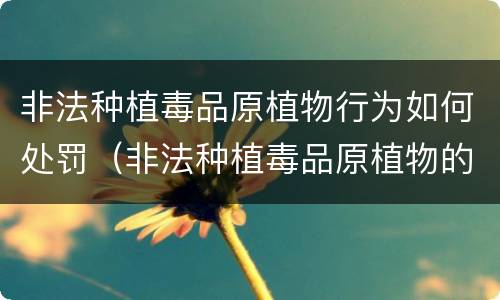 非法种植毒品原植物行为如何处罚（非法种植毒品原植物的处罚）