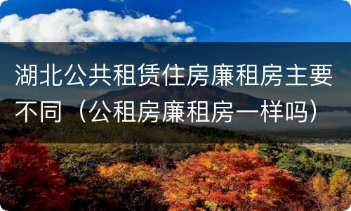湖北公共租赁住房廉租房主要不同（公租房廉租房一样吗）
