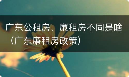 广东公租房、廉租房不同是啥（广东廉租房政策）