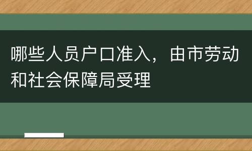 哪些人员户口准入，由市劳动和社会保障局受理