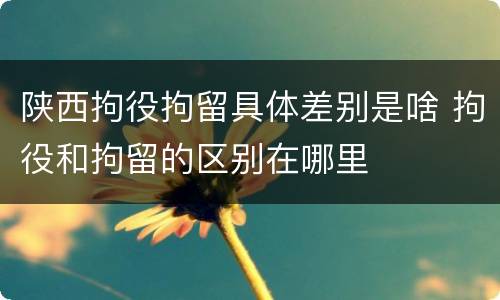 陕西拘役拘留具体差别是啥 拘役和拘留的区别在哪里