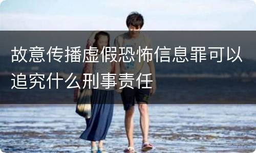 故意传播虚假恐怖信息罪可以追究什么刑事责任