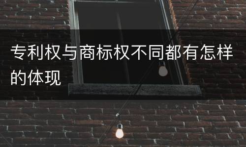 专利权与商标权不同都有怎样的体现