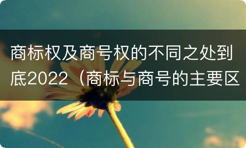 商标权及商号权的不同之处到底2022（商标与商号的主要区别表现）
