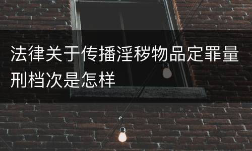 法律关于传播淫秽物品定罪量刑档次是怎样