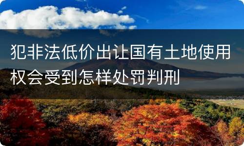犯非法低价出让国有土地使用权会受到怎样处罚判刑