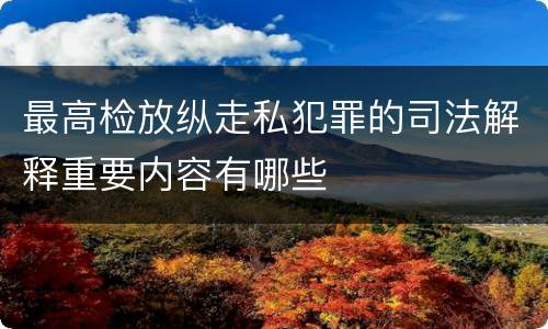最高检放纵走私犯罪的司法解释重要内容有哪些