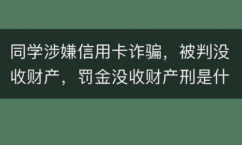 同学涉嫌信用卡诈骗，被判没收财产，罚金没收财产刑是什么