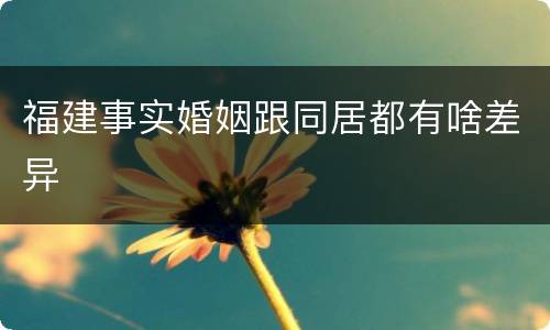 福建事实婚姻跟同居都有啥差异
