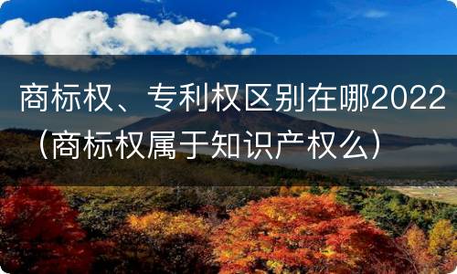 商标权、专利权区别在哪2022（商标权属于知识产权么）