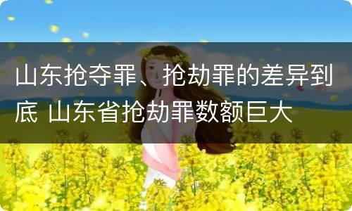 山东抢夺罪、抢劫罪的差异到底 山东省抢劫罪数额巨大