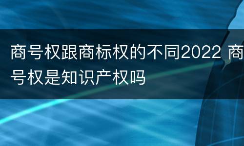 商号权跟商标权的不同2022 商号权是知识产权吗