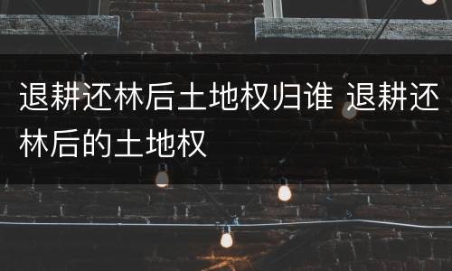 退耕还林后土地权归谁 退耕还林后的土地权