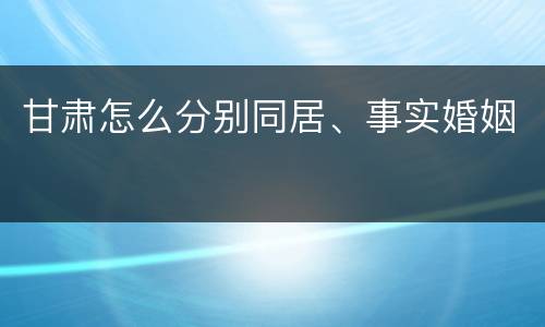 甘肃怎么分别同居、事实婚姻