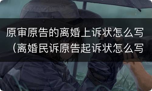 原审原告的离婚上诉状怎么写（离婚民诉原告起诉状怎么写）